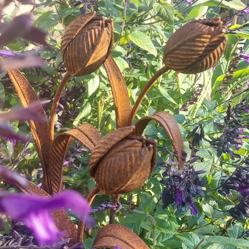 Kovácsoltvas Tulipán