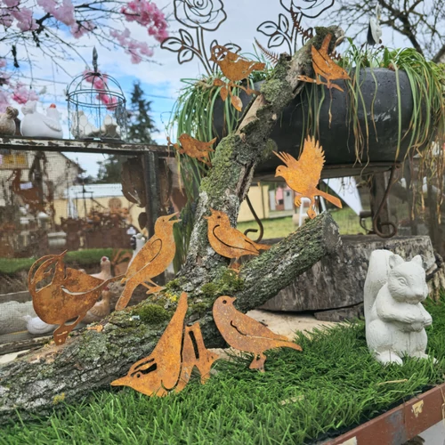 Tavaszi rozsdás madár szett (10db)