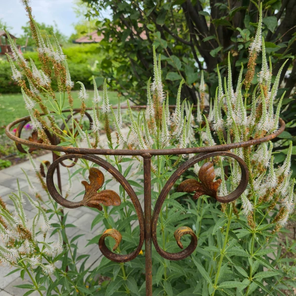 Barokk stílusú növénytámaszték 60x120cm