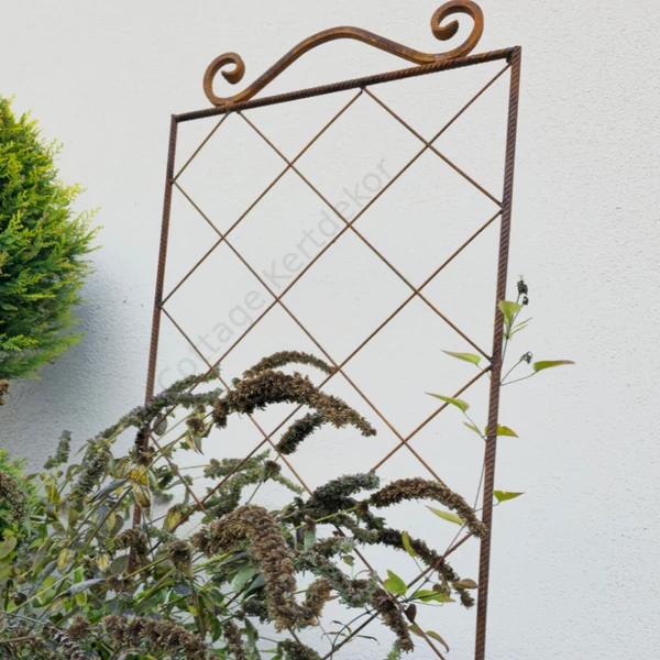Clematis futtató