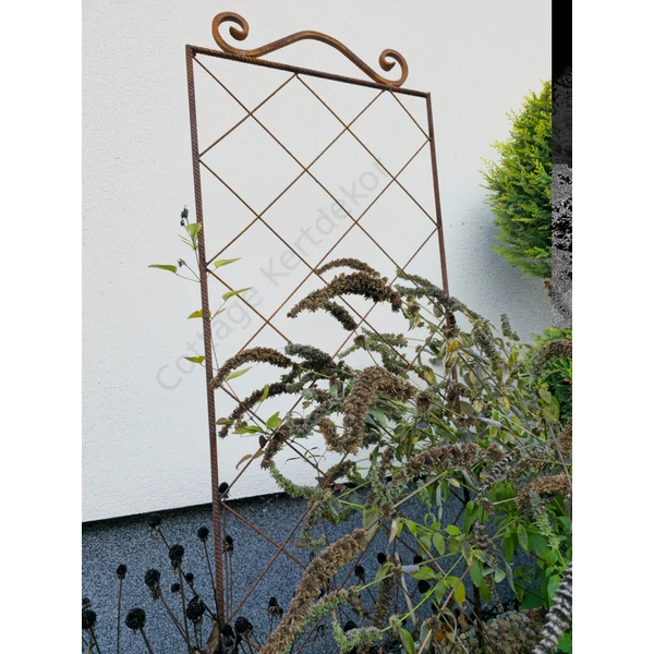 Clematis futtató