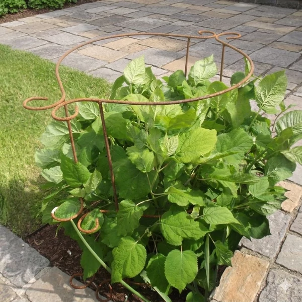 Féloldalas Növénytámaszték (150x65 cm)