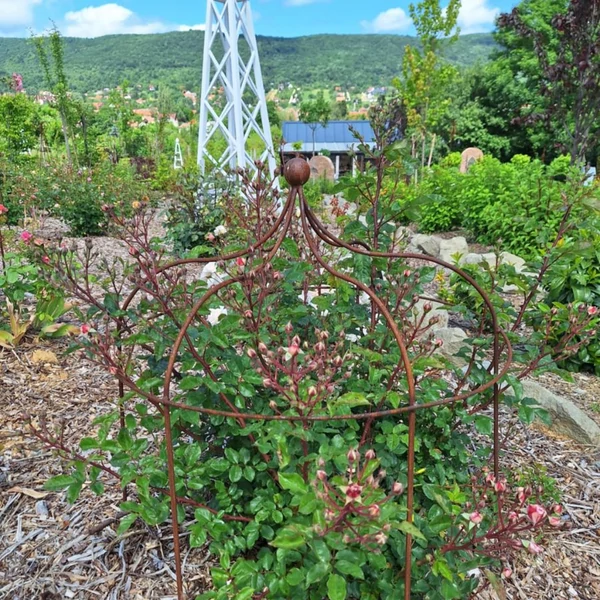 Rózsa virágtámasz