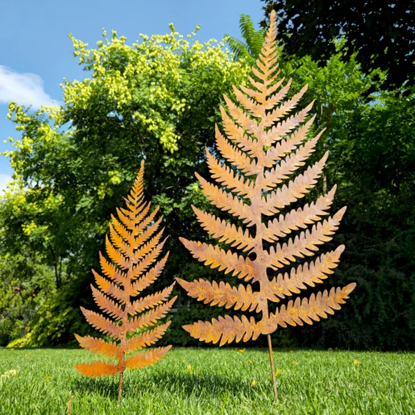 Rozsdás Páfránylevél - Nagy(100cm)