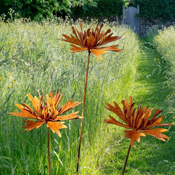 Élethű Búzavirág 