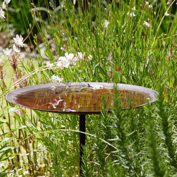 Leszúrható  Madáritató és fürdő lencse (46 cm)