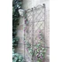Clematis futtató