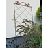 Clematis futtató
