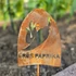 Erős paprika - Veteményes jelölőtábla